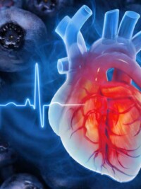 What Blueberries Do to Blood Vessels That Peanuts Can't