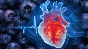 Blueberries for Heart Health
