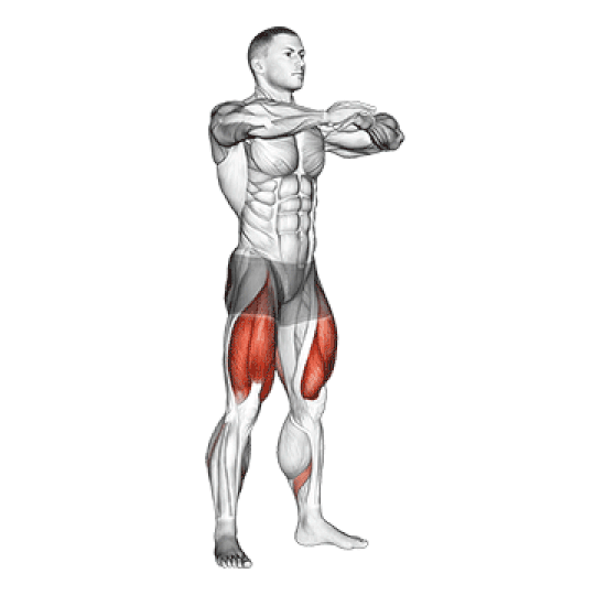 bodyweight squat bodyweight squat