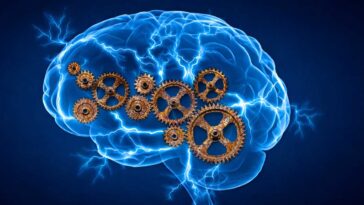 Brain Aging