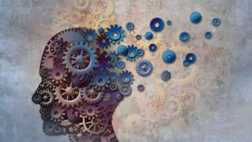 Brain Aging