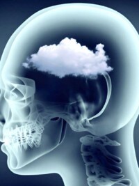 The Hidden Reason Your Brain Fog Keeps Coming Back