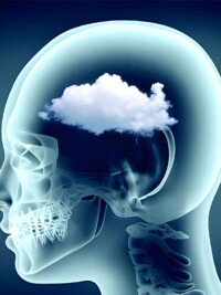 What Actually Helps Clear Brain Fog