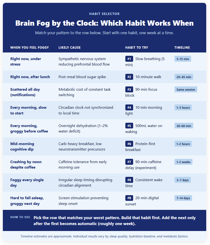 Brain Fog by the Clock Which Habit Works When Brain Fog by the Clock Which Habit Works When