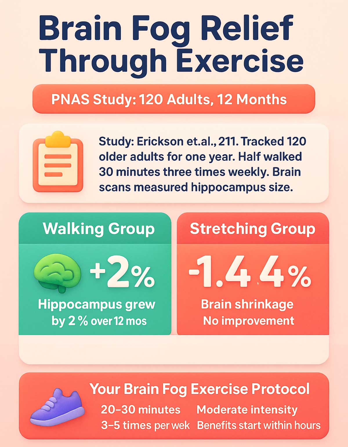 Brain Fog Relief Through Exercise