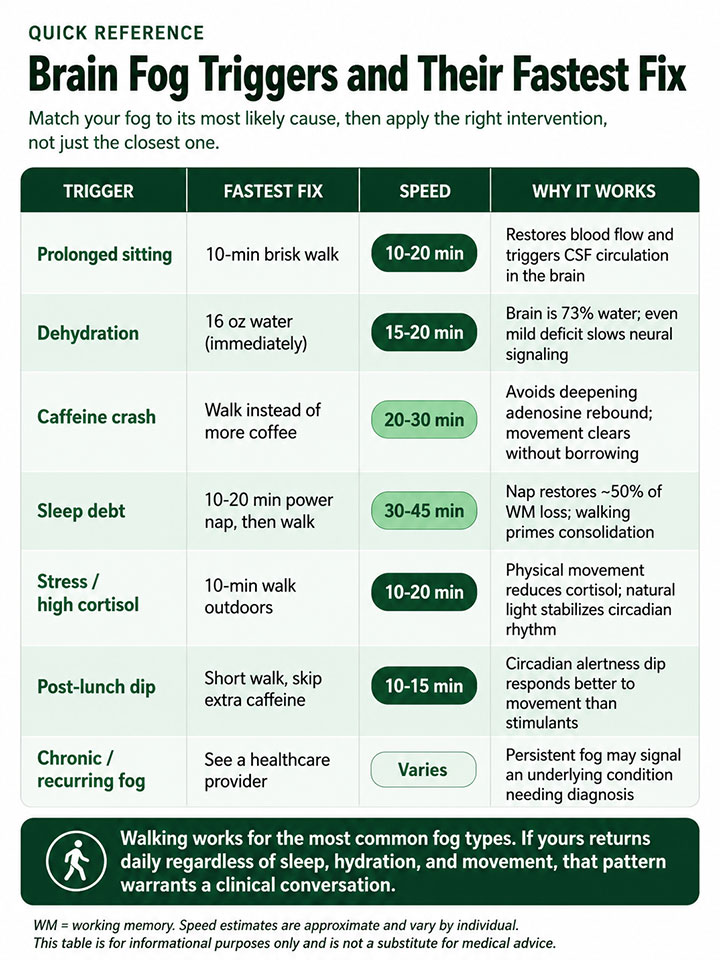 Brain Fog Triggers and Their Fastest Fix Brain Fog Triggers and Their Fastest Fix