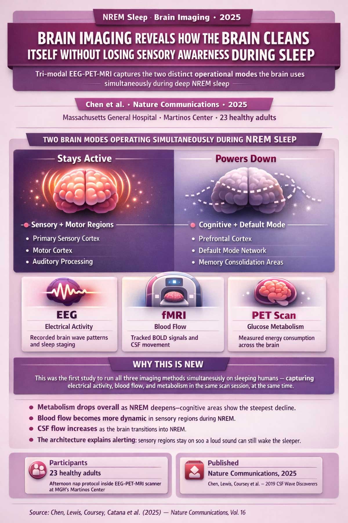 Brain imaging reveals how the brain cleans itself without losing sensory awareness during sleep