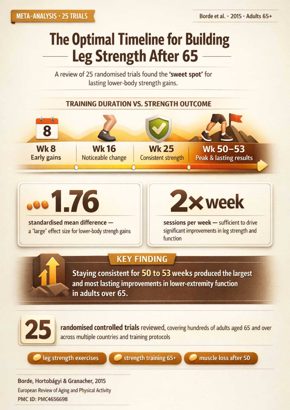 Building leg strength after timeline summary Building leg strength after timeline summary