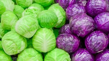 cabbage juice for ulcers