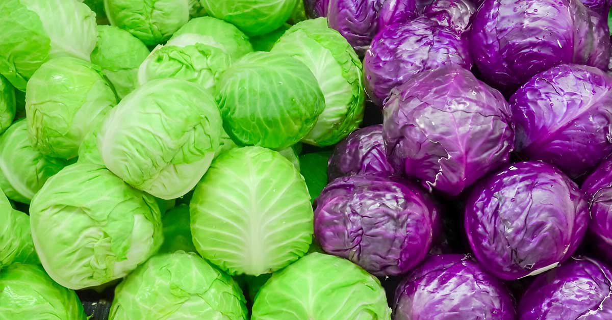 cabbage juice for ulcers