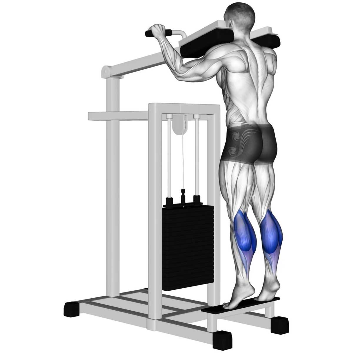 Calf Raise Machine