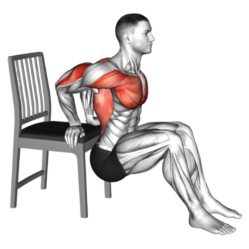 Chair Dips