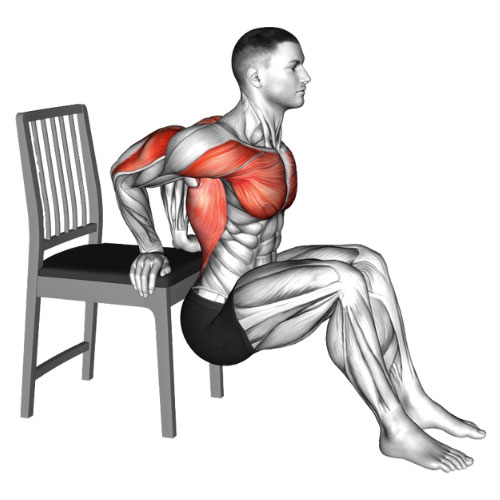 Chair Tricep Dips