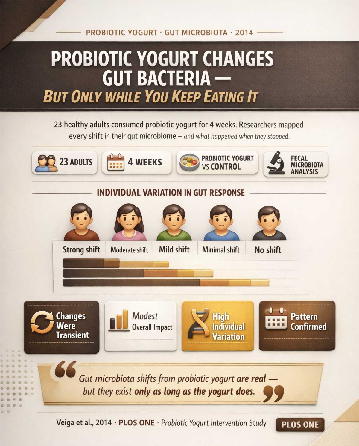 ChatGPT Image Feb , , PM ChatGPT Image Feb , , PM