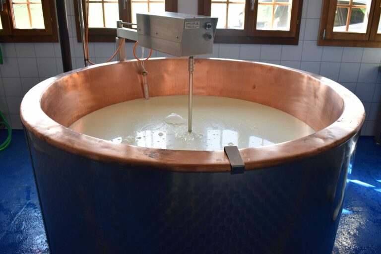 Cheese Production