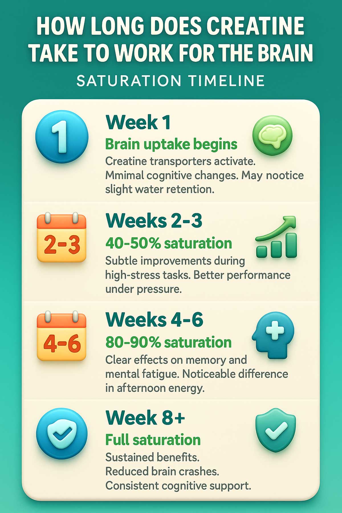 Creatine Brain Health Saturation Timeline Creatine Brain Health Saturation Timeline