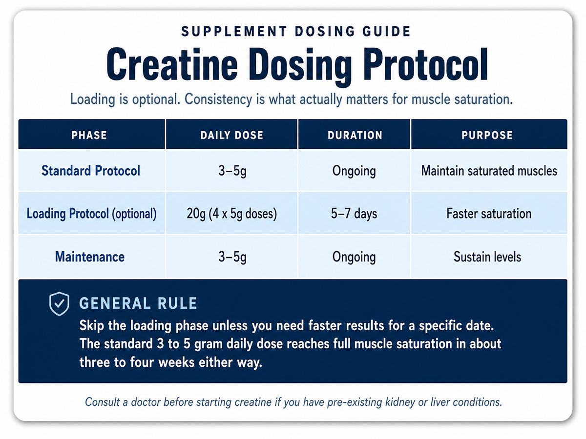 Creatine Dosing Protocol Creatine Dosing Protocol