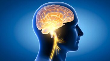 Creatine for Brain Health