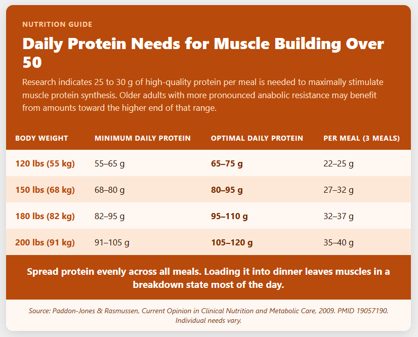 Daily Protein Needs for Muscle Building Over Daily Protein Needs for Muscle Building Over
