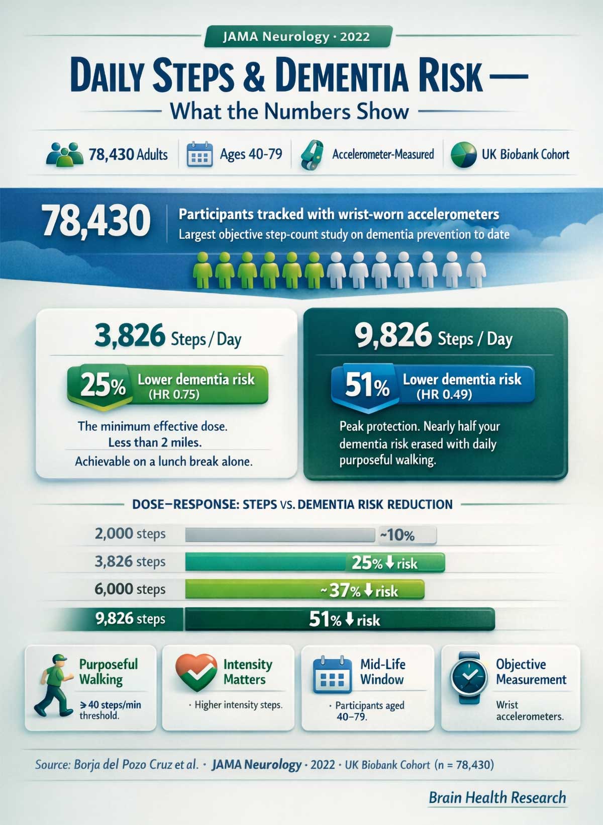 Daily Steps & Dementia Risk — What the Numbers Show