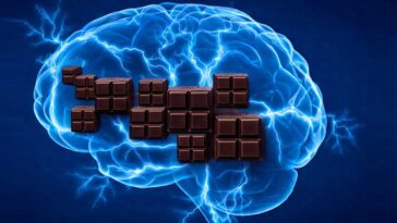 Dark Chocolate and Brain