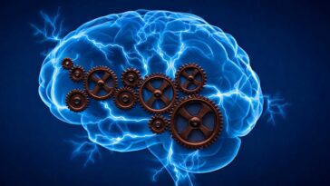 dark chocolate and brain health