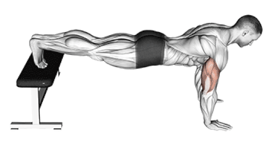 Decline Push Up