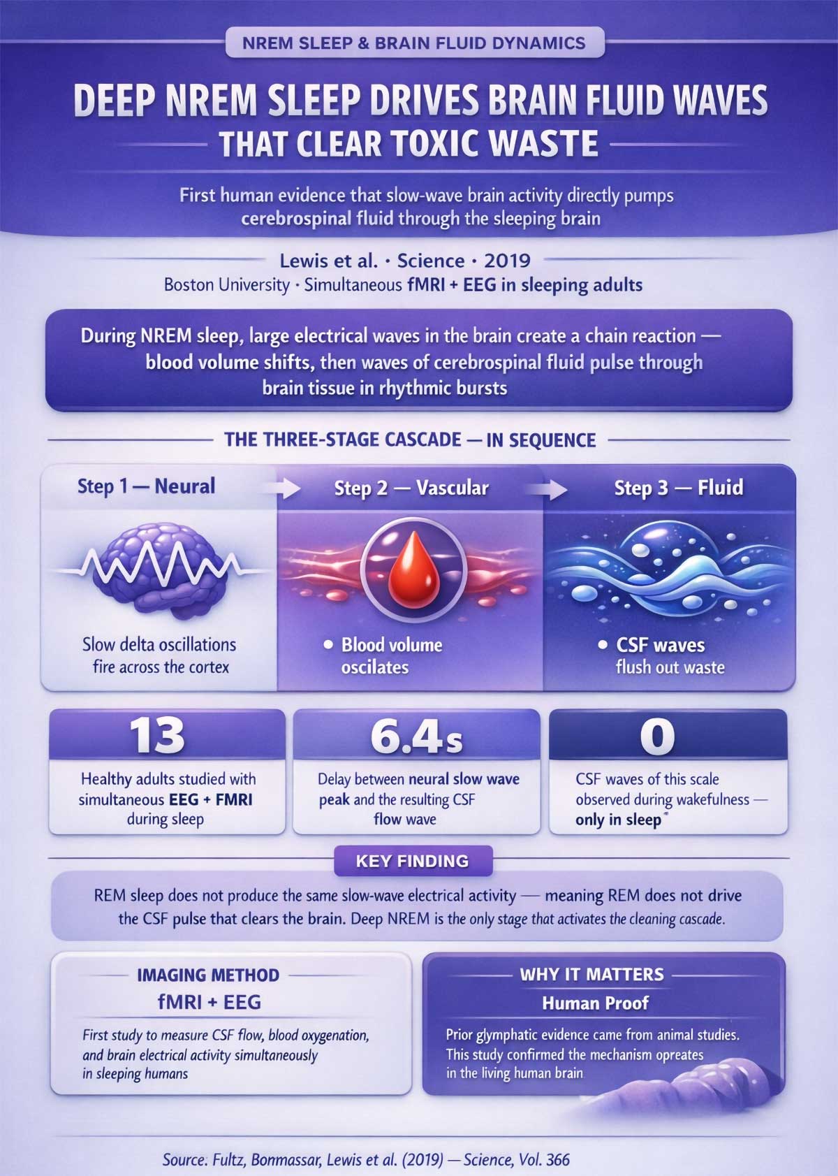 Deep NREM sleep drives brain fluid waves that clear toxic waste