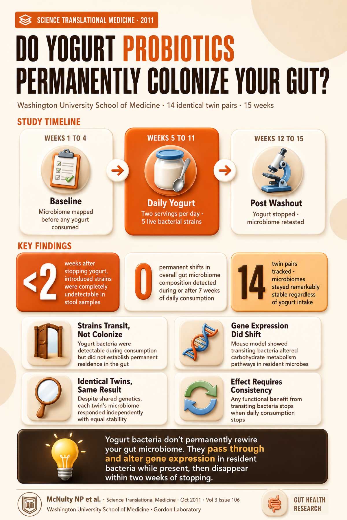Do Yogurt Probiotics Permanently Colonize Your Gut Do Yogurt Probiotics Permanently Colonize Your Gut