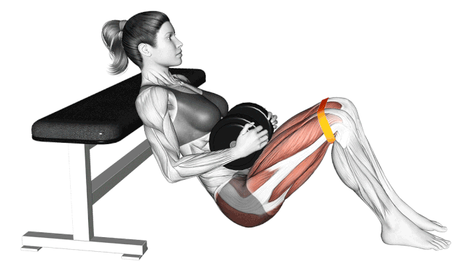 Dumbbell Hip Thrust Dumbbell Hip Thrust