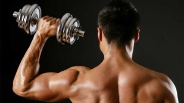 Dumbbell Shoulder Exercises