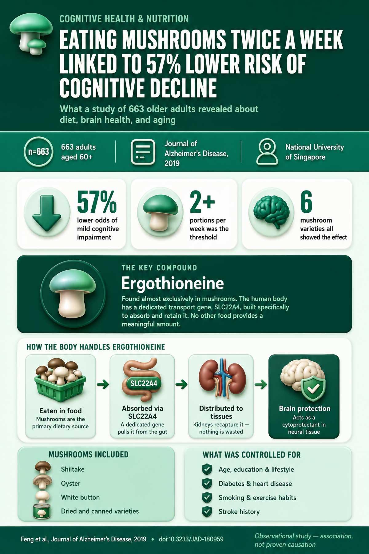 Eating mushrooms twice a week linked to % lower risk of cognitive decline Eating mushrooms twice a week linked to % lower risk of cognitive decline