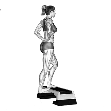 Eccentric Heel Drops