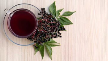 Elderberry Tea