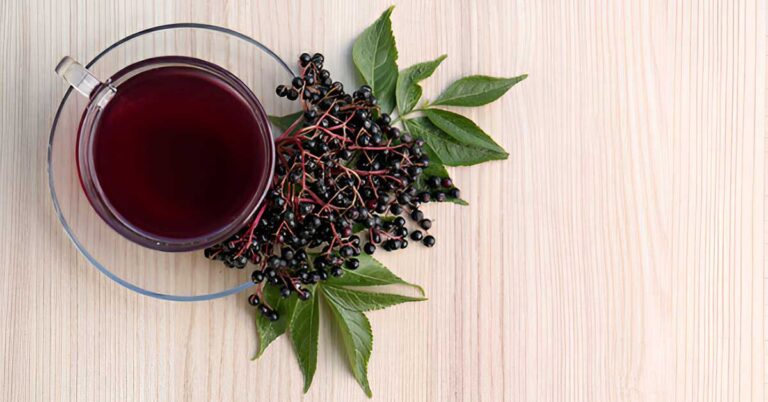 Elderberry Tea