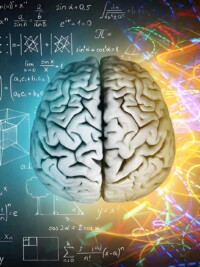 How Emotional Intelligence Actually Develops
