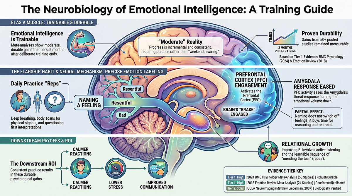 emotional intelligence is trainable emotional intelligence is trainable