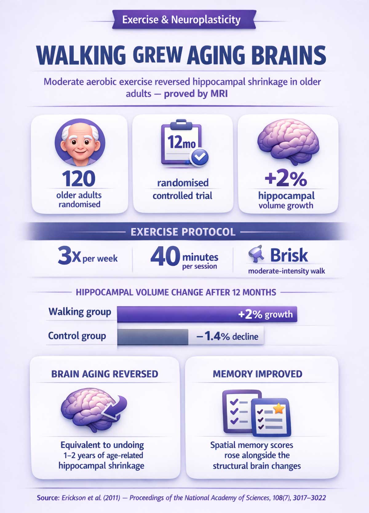 Exercise and brain health infographic Exercise and brain health infographic