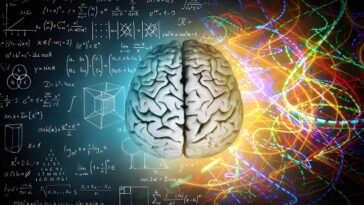 Exercise and Neuroplasticity