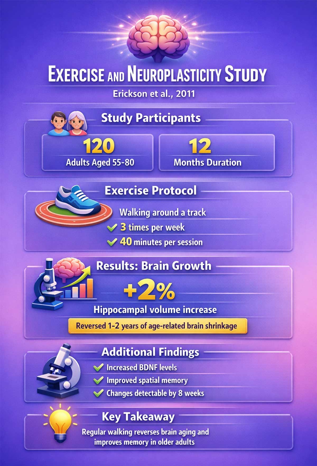 Exercise and Neuroplasticity Study Exercise and Neuroplasticity Study