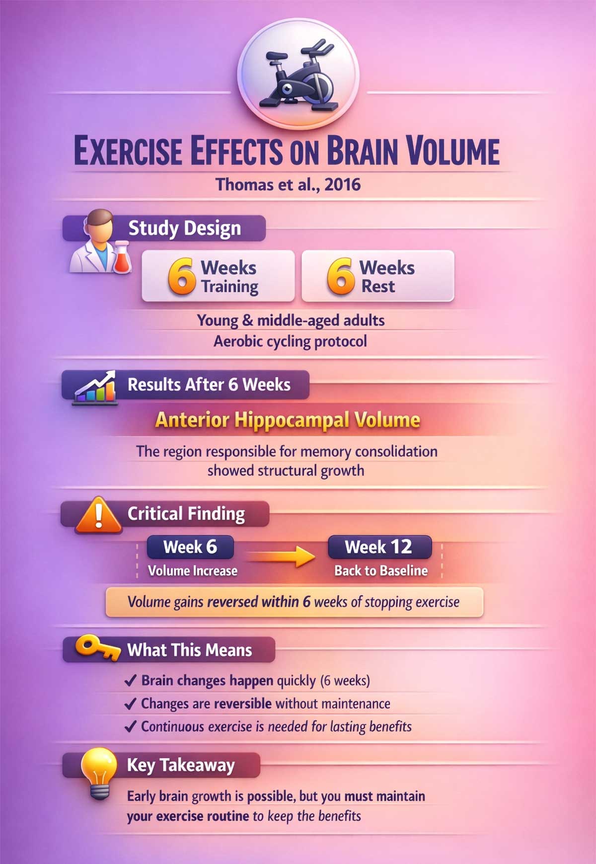 Exercise Effects on Brain Volume Exercise Effects on Brain Volume