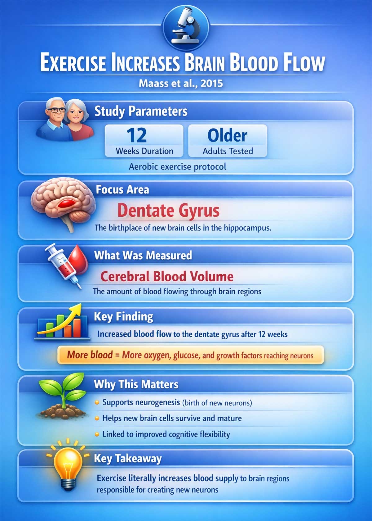 Exercise Increases Brain Blood Flow Exercise Increases Brain Blood Flow