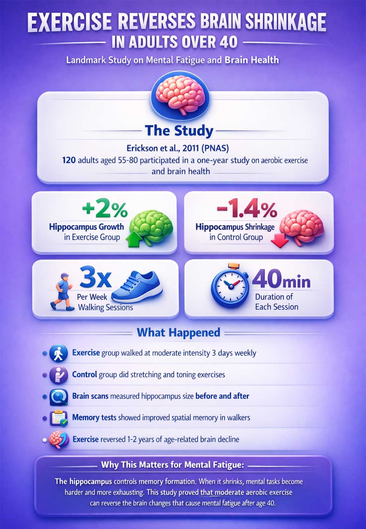 Exercise Reverses Brain Shrinkage in Adults Over Exercise Reverses Brain Shrinkage in Adults Over