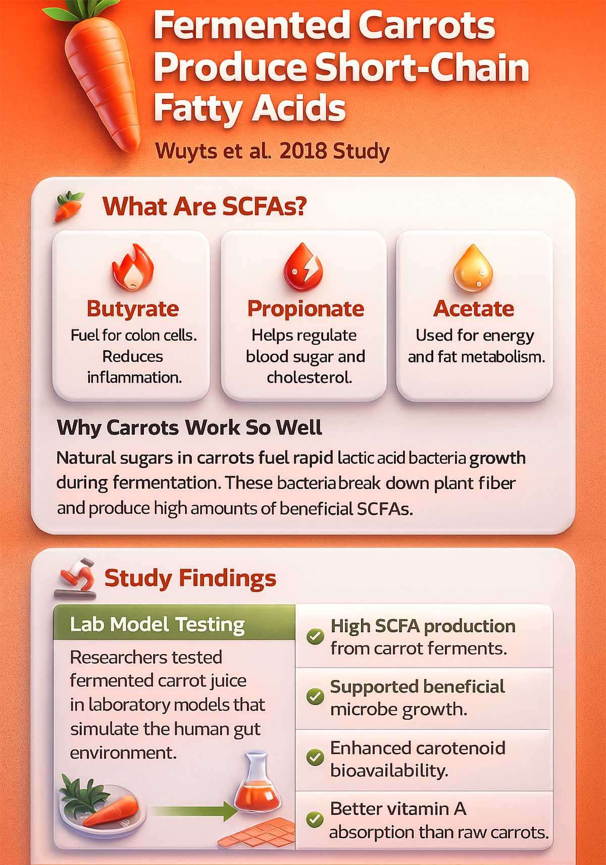 Fermented Carrots Produce Short Chain Fatty Acids