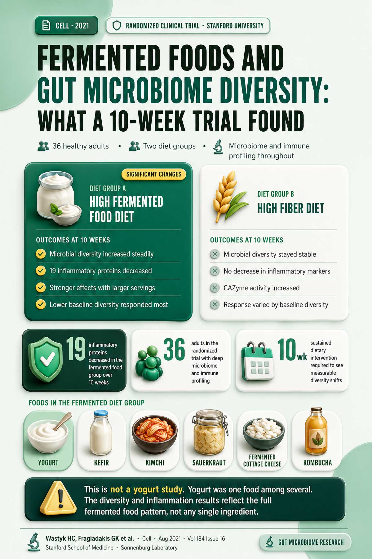 Fermented Foods and Gut Microbiome Diversity