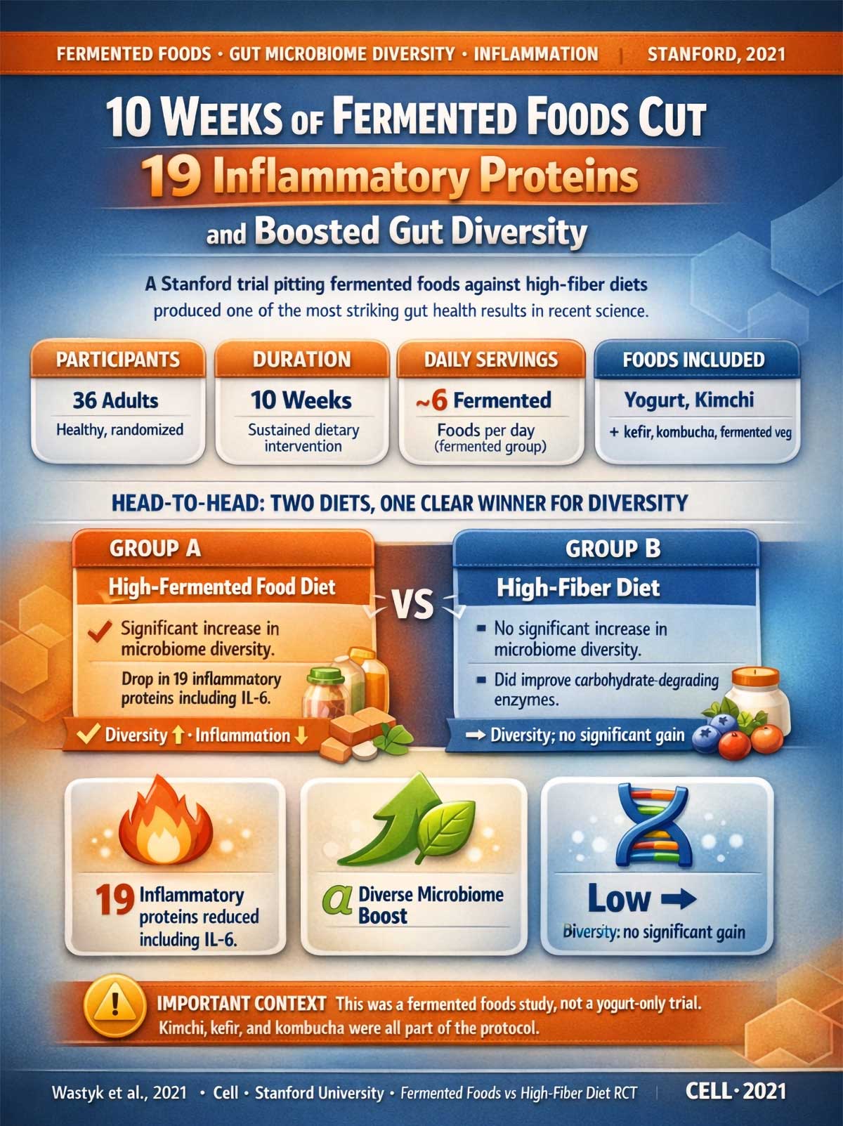 Fermented Foods Gut Health and Inflammation Fermented Foods Gut Health and Inflammation