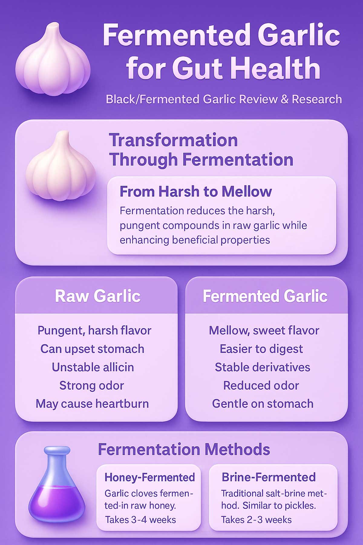 Fermented Garlic for Gut Health