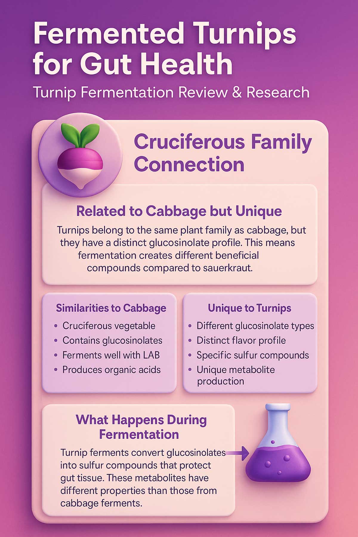 Fermented Turnips for Gut Health