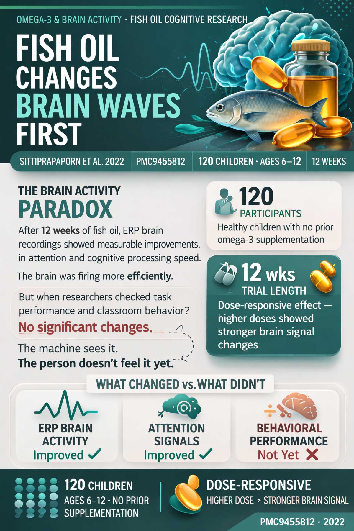 Fish Oil & Brain Activity Fish Oil & Brain Activity