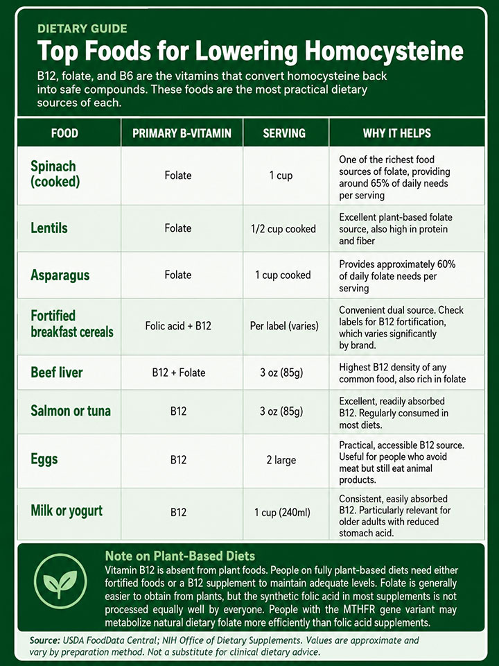 Foods for Lowering Homocysteine Foods for Lowering Homocysteine